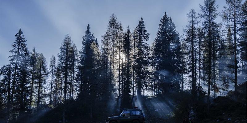 从工业基因到建筑品质：揭秘贵阳鸿鑫地产供应链的精密化革命