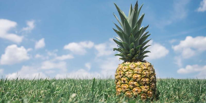 当精密制造遇见商业脉搏:贵阳鸿鑫综合体如何用工业物流思维重塑人流动线