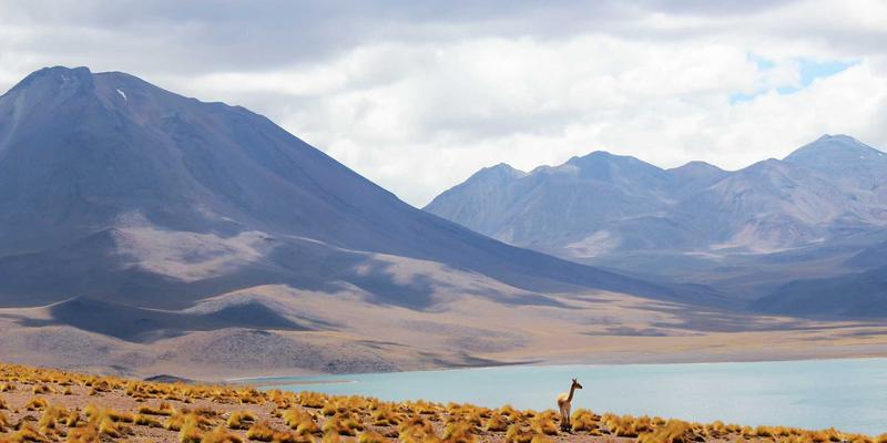 精密如齿轮，服务如春风：解码贵阳鸿鑫地产如何用工业质量管理体系重塑物业服务